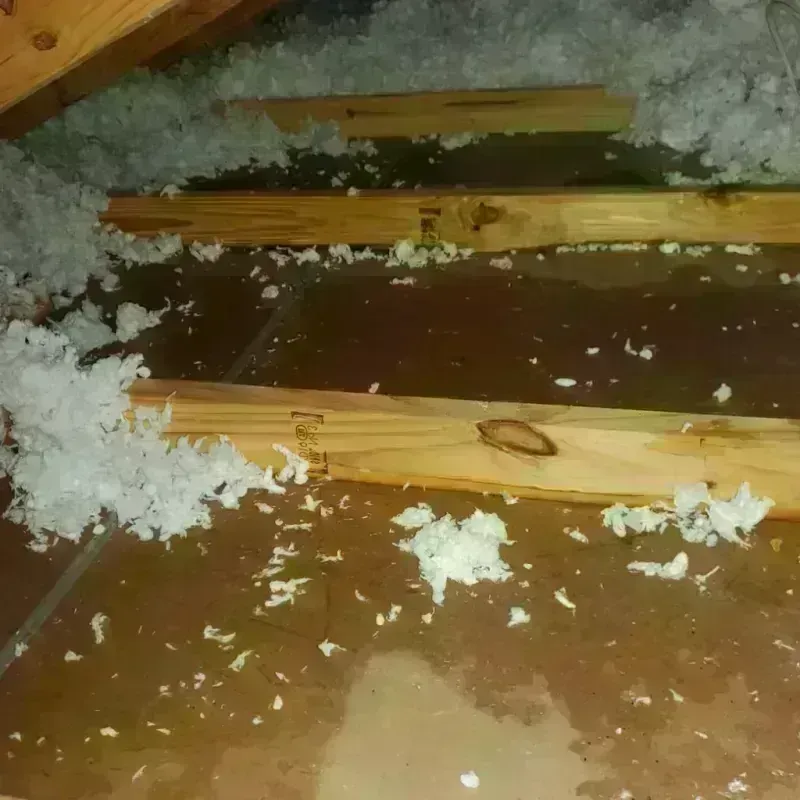 Attic Water Damage in Livingston County, MO