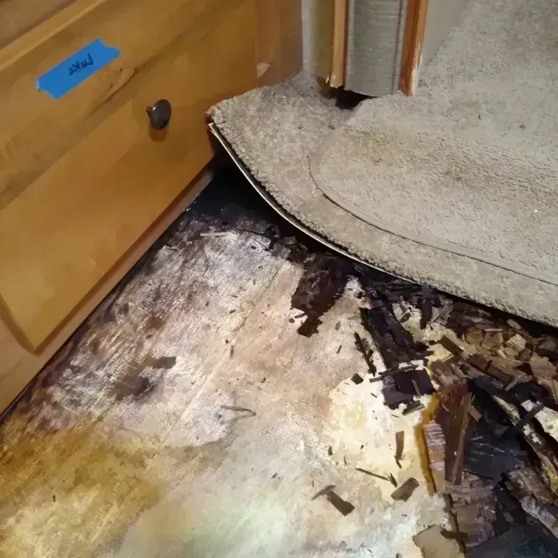 Wood Floor Water Damage in Livingston County, MO